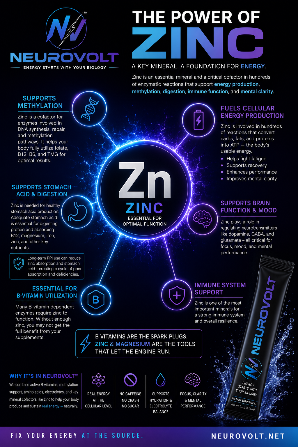 Why Zinc Matters for Energy, Methylation, and Nutrient Absorption