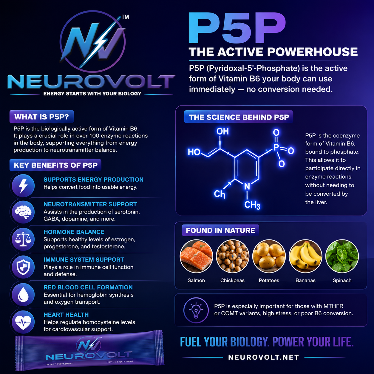 What is P5P / B6?