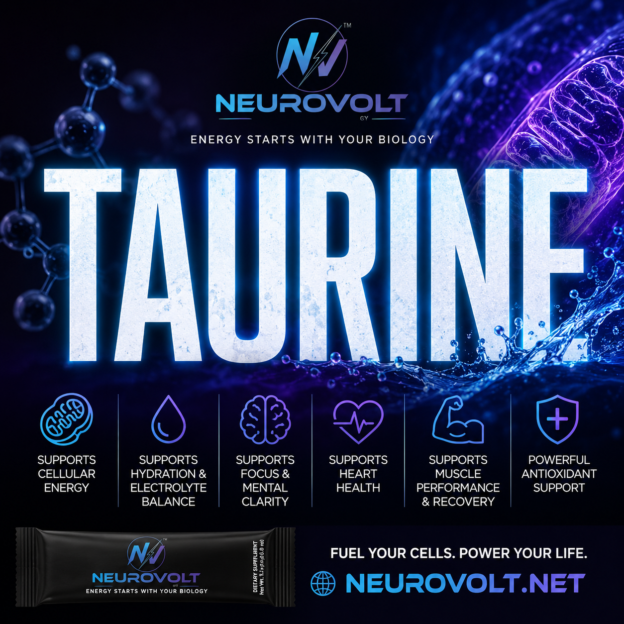 Taurine: The Overlooked Nutrient That Helps Power Your Body